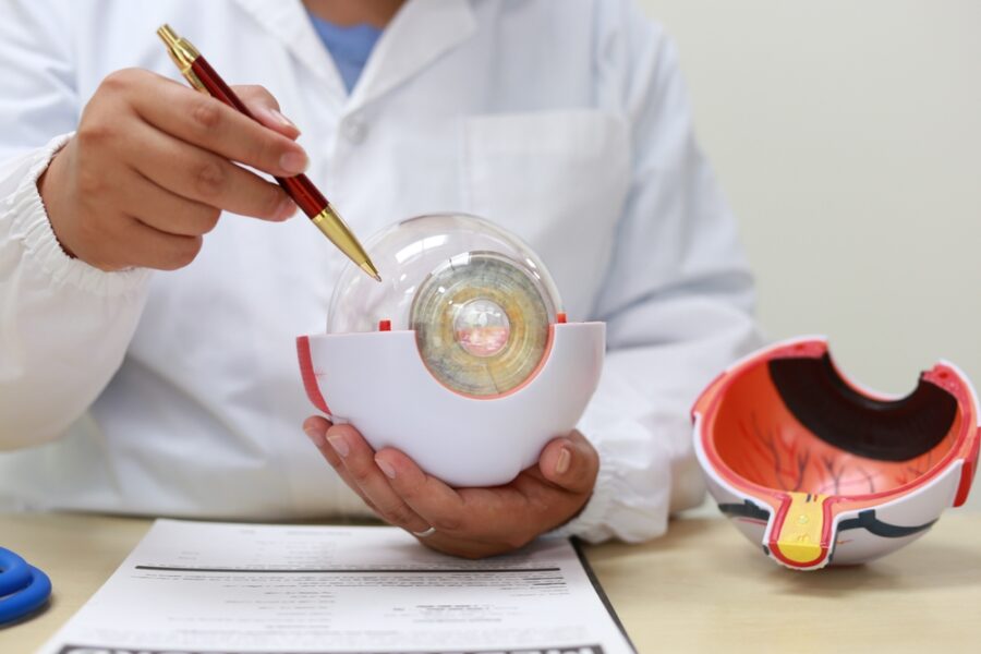 Digital Retina Imaging | Desert Vision Optometry
